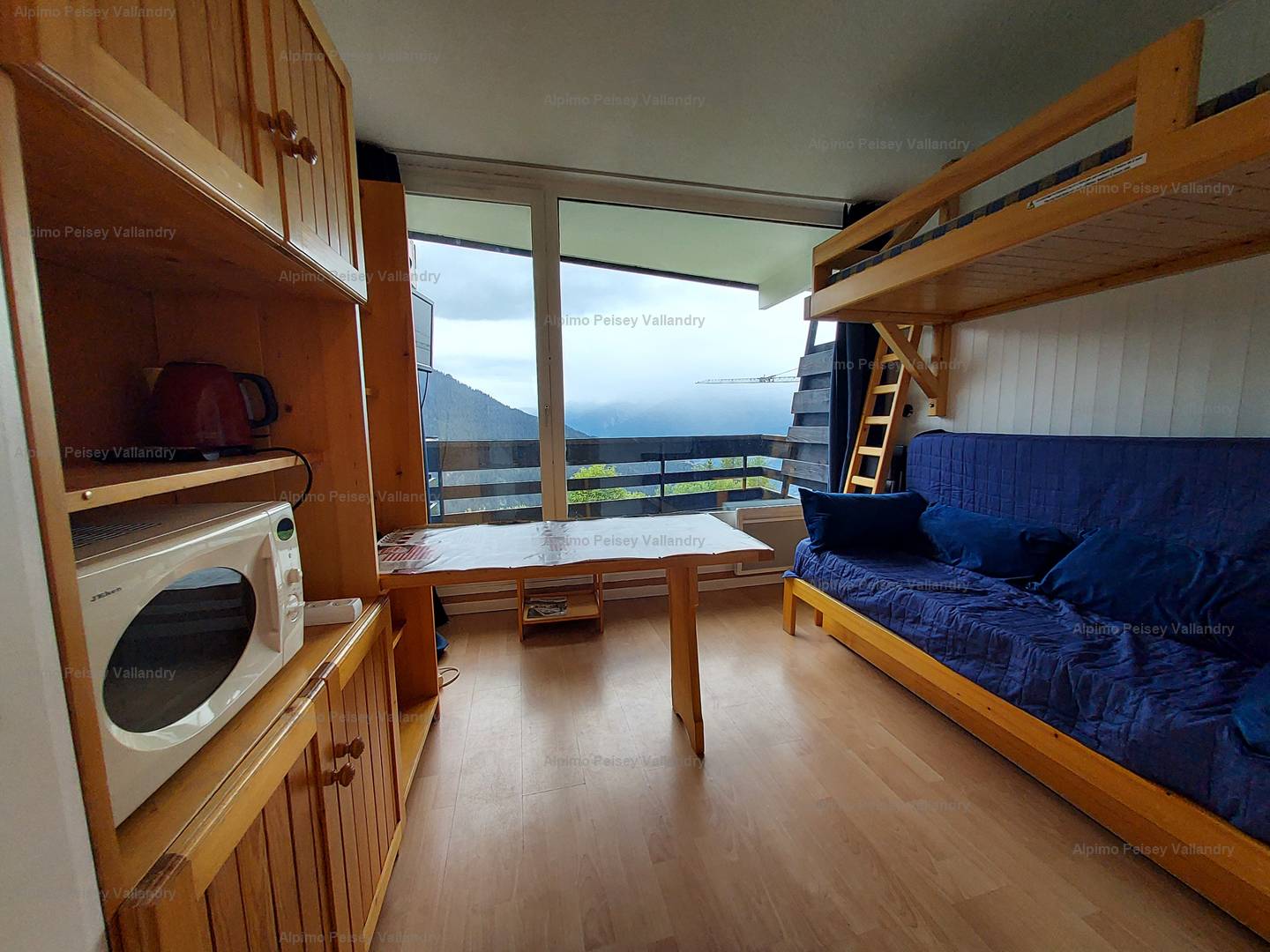 GSI PeiseyVallandry real estate agency Rental & Sale