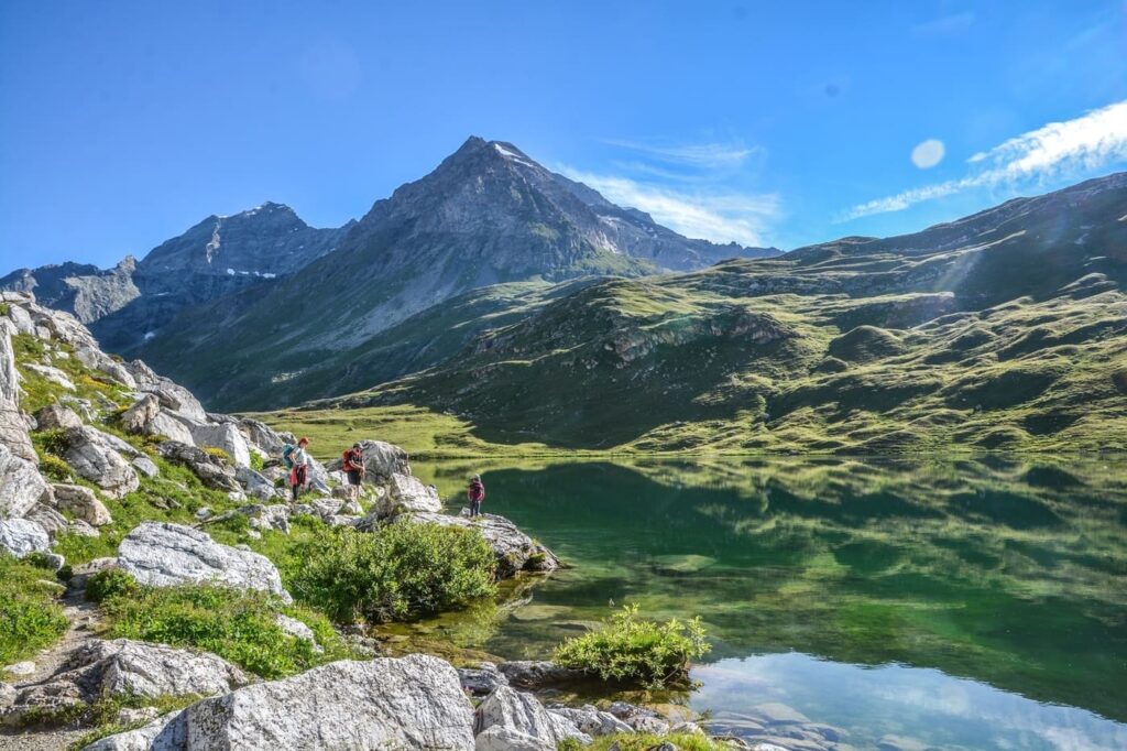 GSI PeiseyVallandry real estate agency Rental & Sale